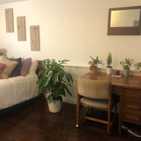 Quiet-Comfy 3 Bedroom Home On A Tree Lined Street In Kits แวนคูเวอร์ ภายนอก รูปภาพ