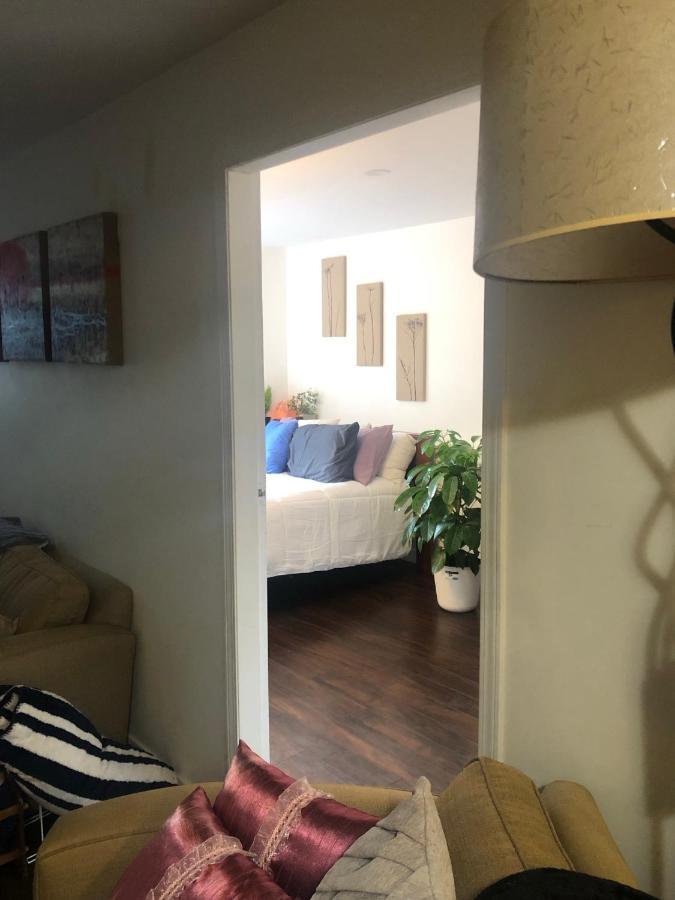 Quiet-Comfy 3 Bedroom Home On A Tree Lined Street In Kits แวนคูเวอร์ ภายนอก รูปภาพ